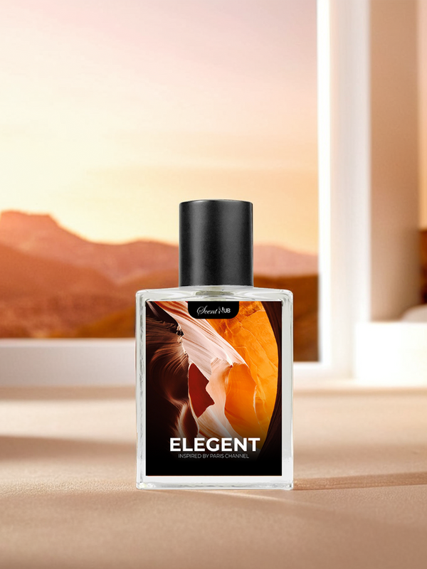 Elegent  - Inspired By Paris channel